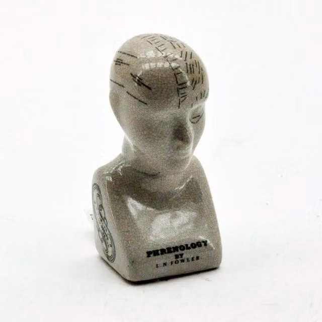 Minster Ceramic Phrenology Head Ornament in Grey and White, H 16 x W 8 x L 7 cm – 2