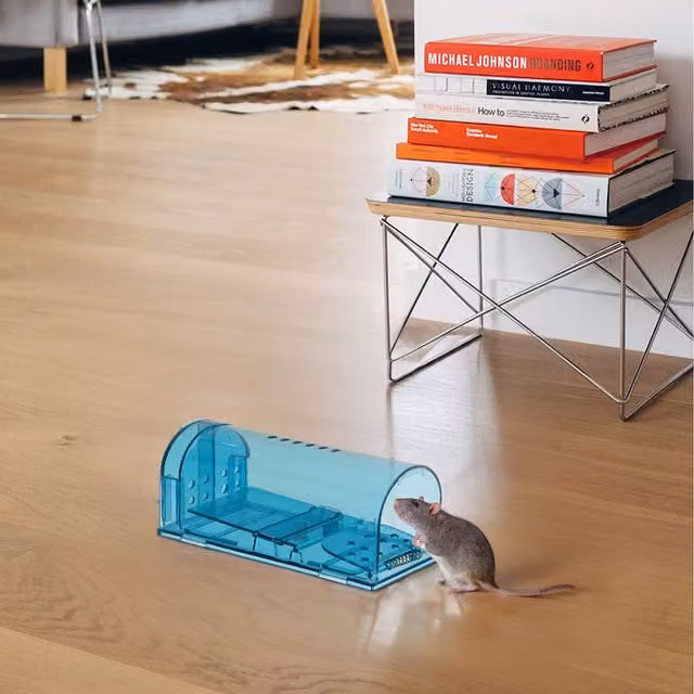 Livingandhome Set of Humane Mouse Trap Cages in Blue and Transparent