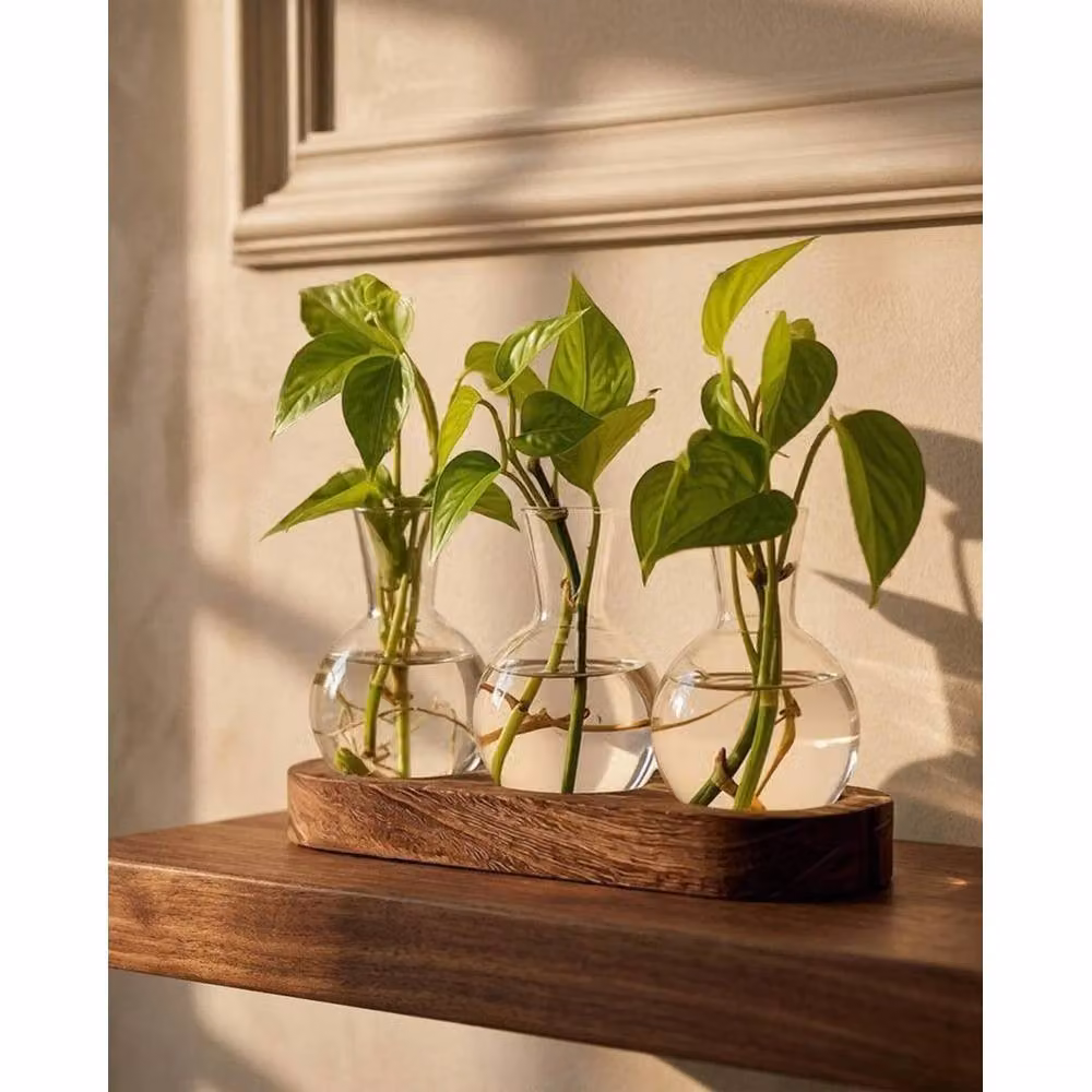 Havendro Glass Plant Propagation Station with Wooden Stand, 3 Bulb Vase, Transparent and Multicolour – 2