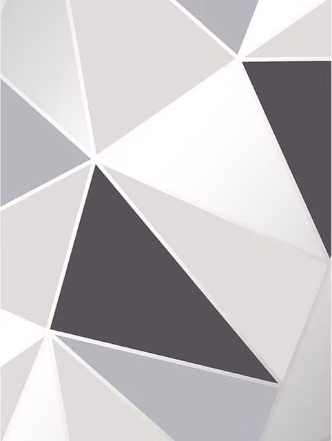 Fine Décor Apex Geometric Abstract Wallpaper in Black and Grey Matt Finish