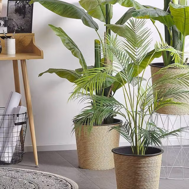 Wyld and Coco Areca Palm Artificial Plant with Green Concrete Base, Height: 124 cm – 1