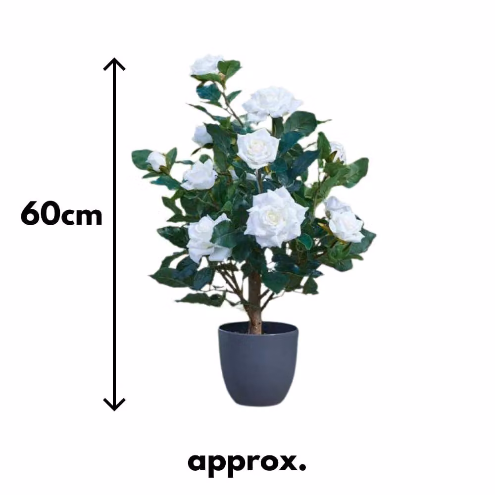 Marco Paul White Artificial Rose Plant, Height: 60 cm – 3