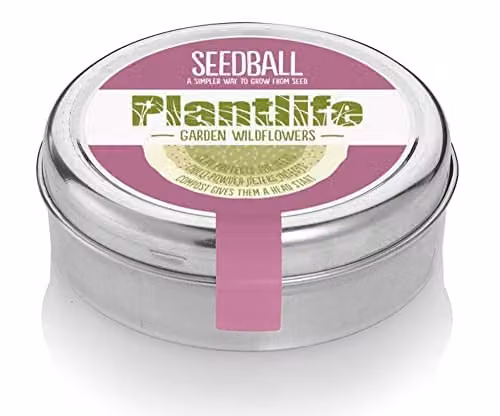 Gifts Direct 2 U Wildflower Seedballs Mix with 20 Clay Balls in Red, Pink and Multicolour – 1