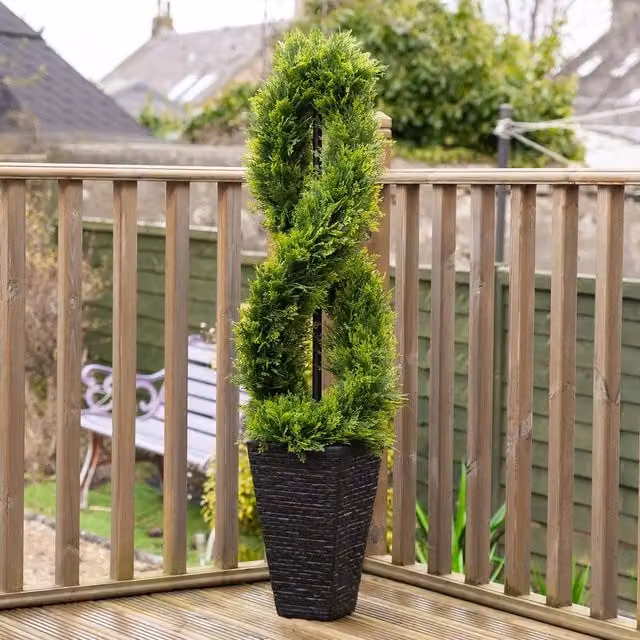 Scottish Everlastings Ltd 122 cm Twisted Cedar Topiary Tree in Green Square Pot – 1