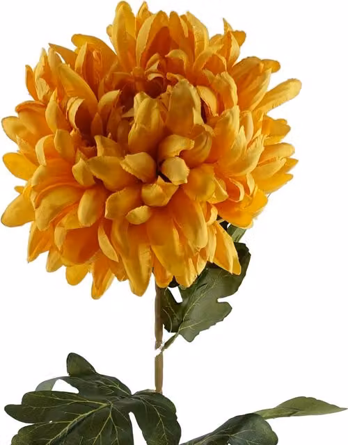 Single Extra Large Reflex Chrysanthemum in Gold and Red Silk Textile