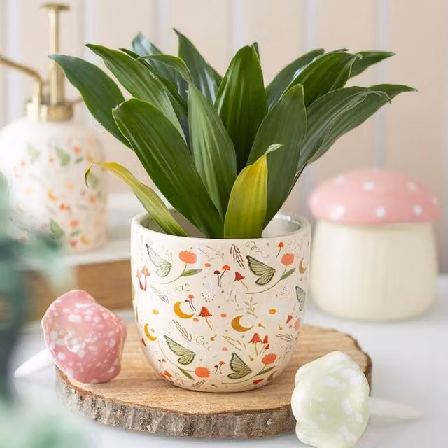 Uniqueful Multicolour Floral Fairy Folklore Ceramic Tabletop Plant Pot