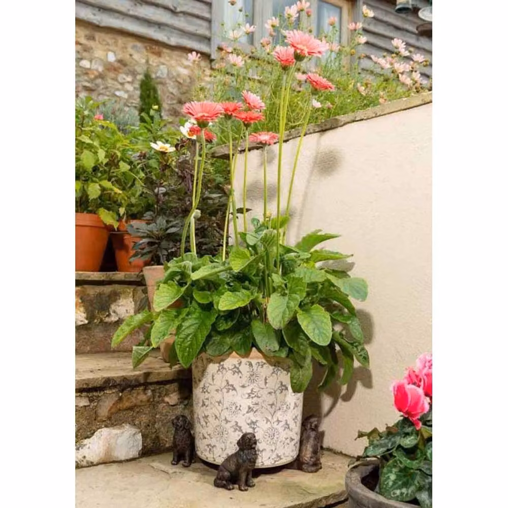 Jardinopia Newfoundland Dog Themed Plant Pot Feet in Bronze, Set of 3 – 6