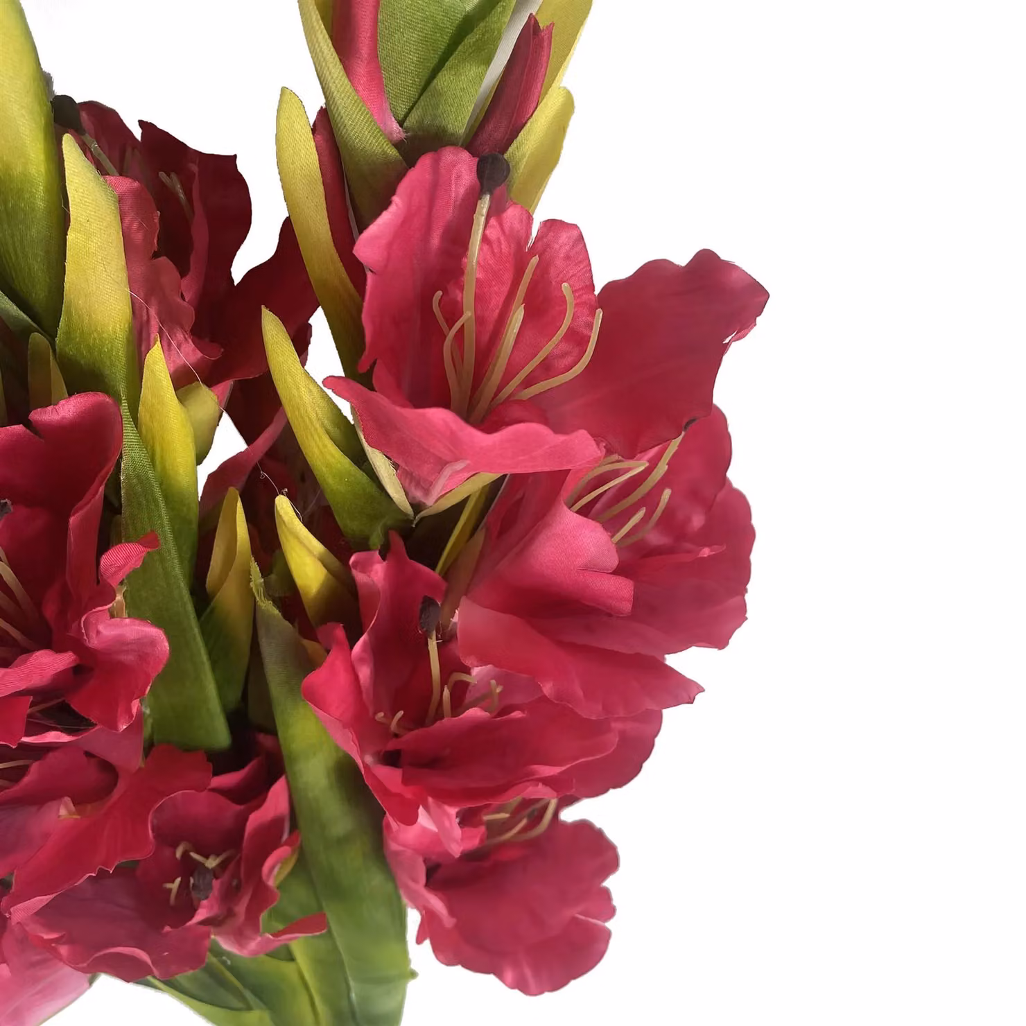 Leaf UK Pack of 6 Pink Artificial Gladioli Stems, Height: 115 cm – 3