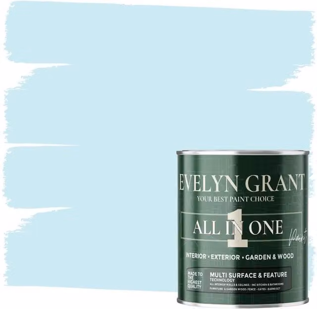 Evelyn Grant All-In-One Multi Surface Indoor and Outdoor Matt Water Based Dispersion Paint, Blue, 5 l