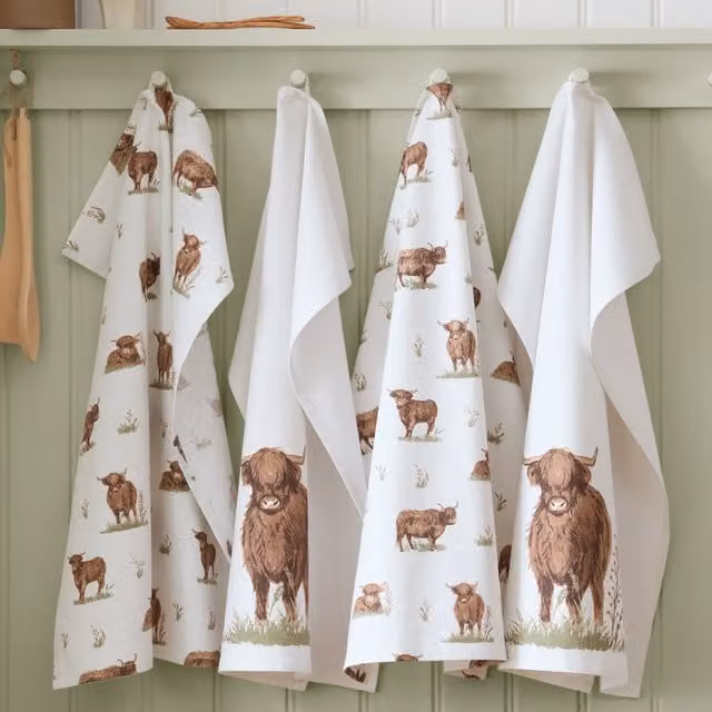 Catherine Lansfield Angus Highland Cow Highly Absorbent Cotton Tea Towel in Beige and Multicolour