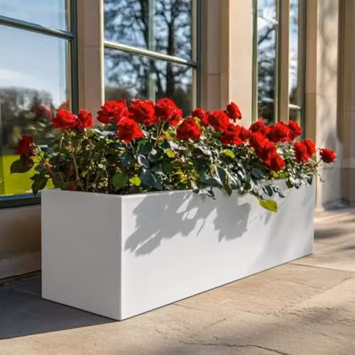 Tulipy Galvanised Steel Trough Planter, Matte White, W: 24 cm, D: 24 cm, H: 24 cm – 3