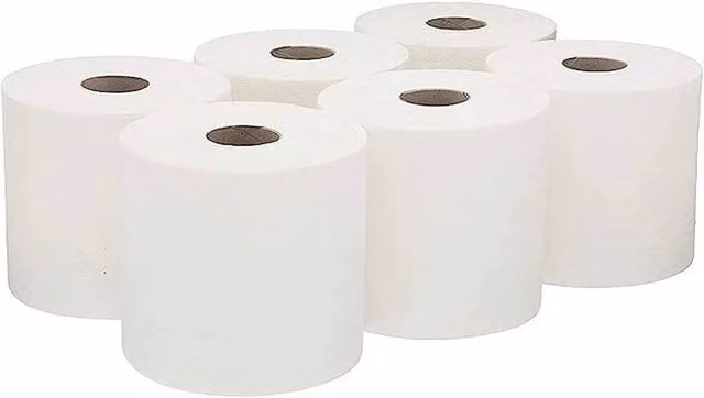 NESTLUNE 2-Ply White Embossed Kitchen Hand Paper Rolls, W/D/H: 100 x 15 x 15 cm