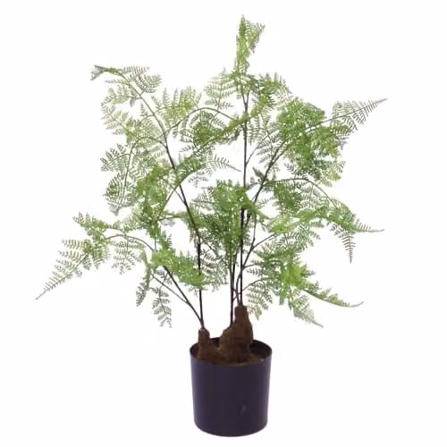 Botanik Premium Artificial Fern Grass in Green, H 60 cm x W 40 cm x D 40 cm