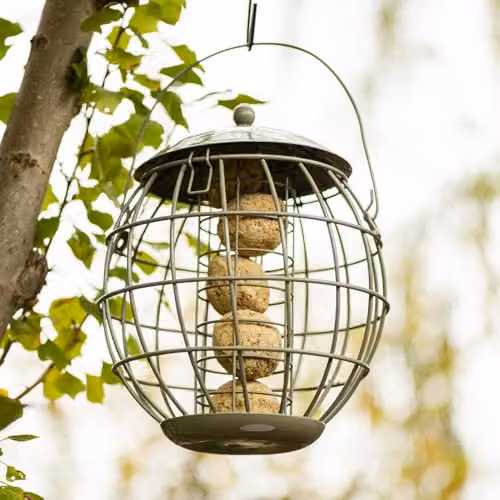 Happy Beaks Orbital Squirrel Proof Bird Feeder in Sage Green Steel Cage for Fat Balls, Peanuts, Seeds and Suet – 2