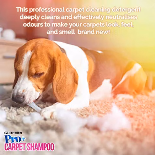 Pro-Kleen Pro+ Carpet Shampoo and Upholstery Cleaning Solution, 4 in 1 Concentrate with Odour Removal, Pink, 5 l – 2