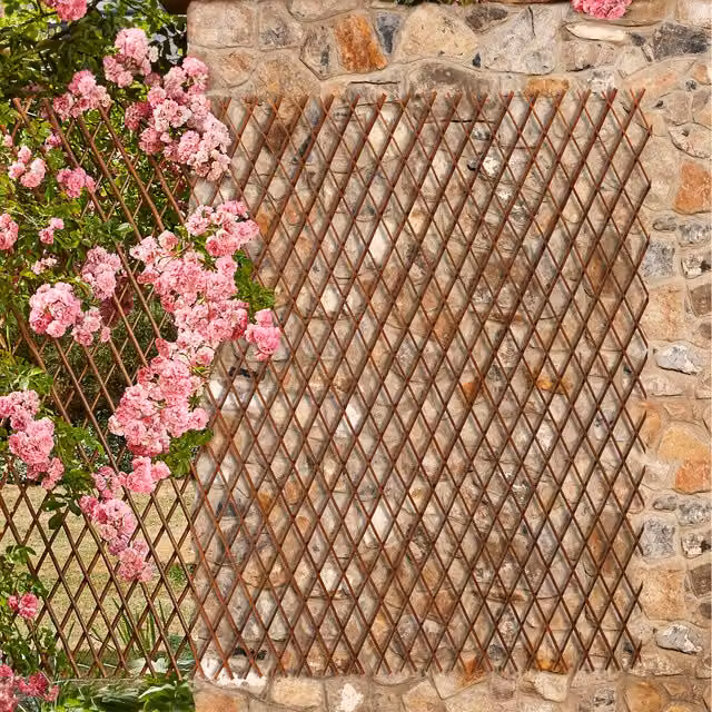 Garden Life Brown Woven Willow Extendable Trellis Twin Pack