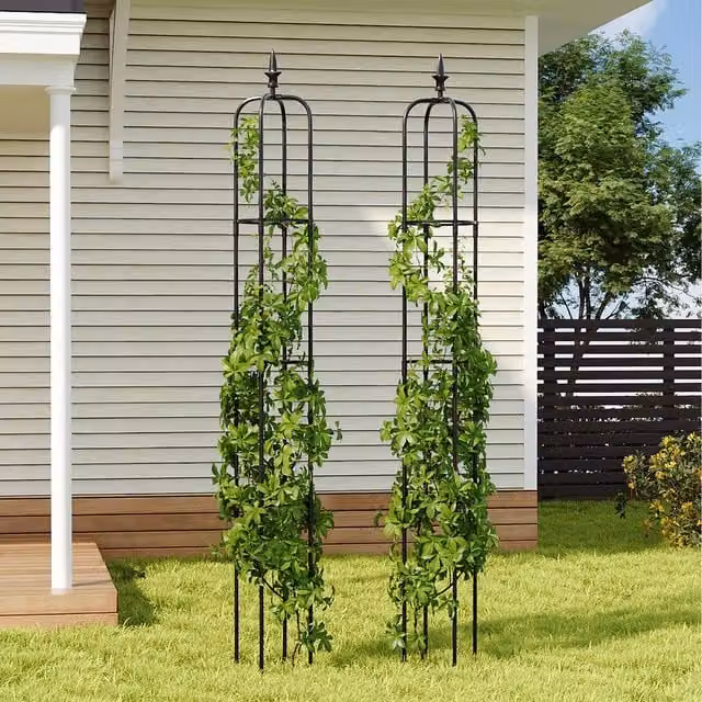 Livingandhome Set of 2 Black Obelisk Trellis Supports for Climbing Plants