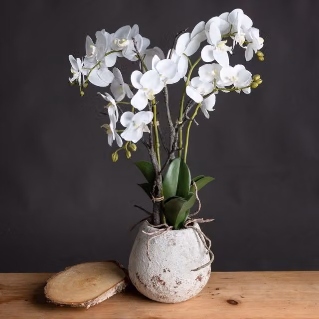 Love Lace White Orchid Artificial Flower in a Stone Pot – 1