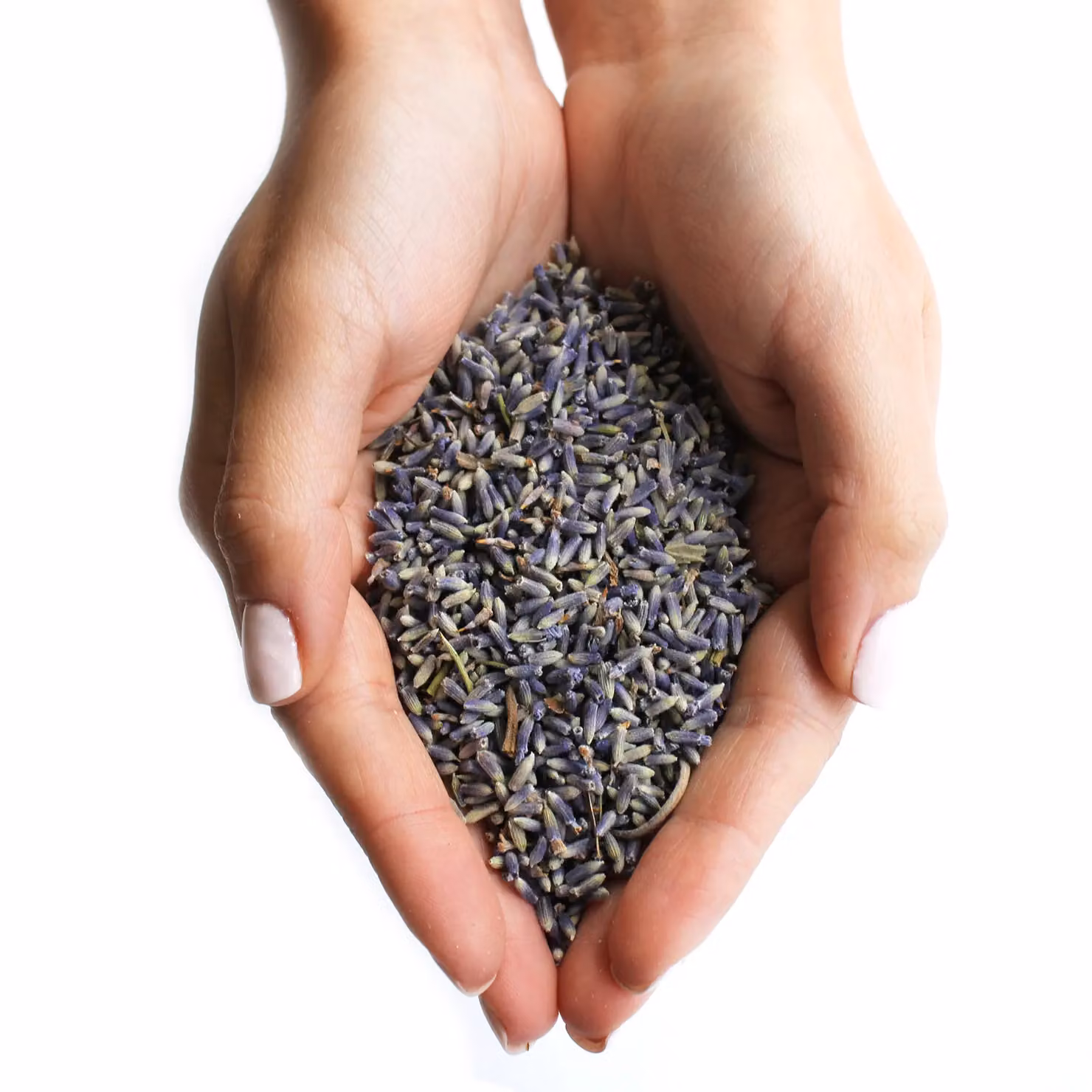 KDMD Organic Purple Lavender Flowers, 1 kg – 3