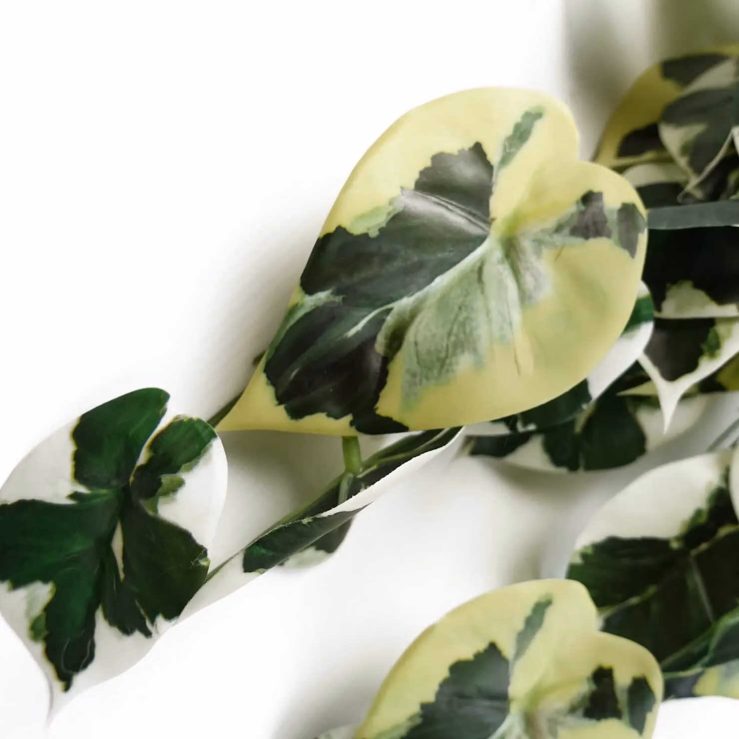 Leaf Design Artificial Hanging Variegated Marble Pothos Plant in Green and Multicolour, 40 cm – 3