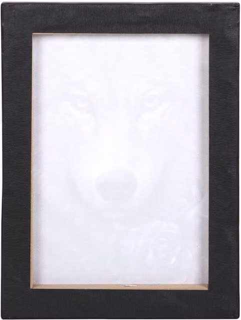Spiral Direct Wolf Roses Floral Canvas Plaque in Black, Purple and White, W/H: 25.0 x 19.0 cm