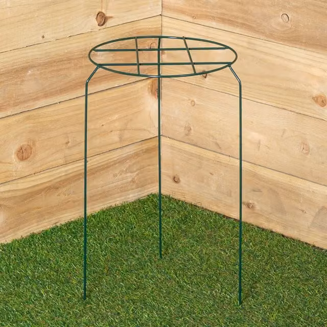 Tom Chambers Urban Metal Herbaceous Garden Plant Support in Dark Green, W: 30 cm x H: 50 cm