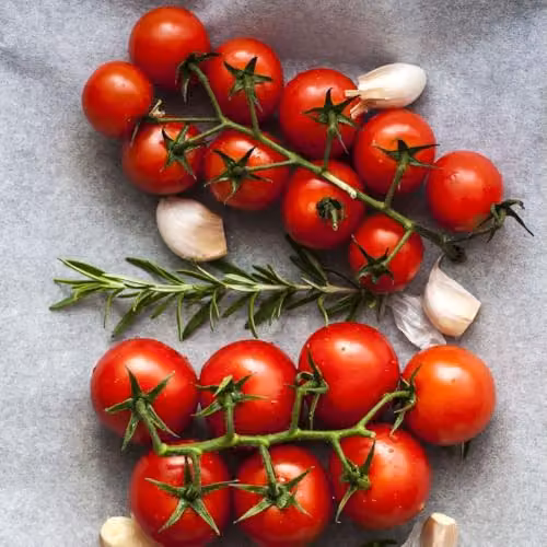 Thompson & Morgan Gardener's Delight Cherry Tomato Seeds, Red Cordon Variety, 1x Seed Packet – 4