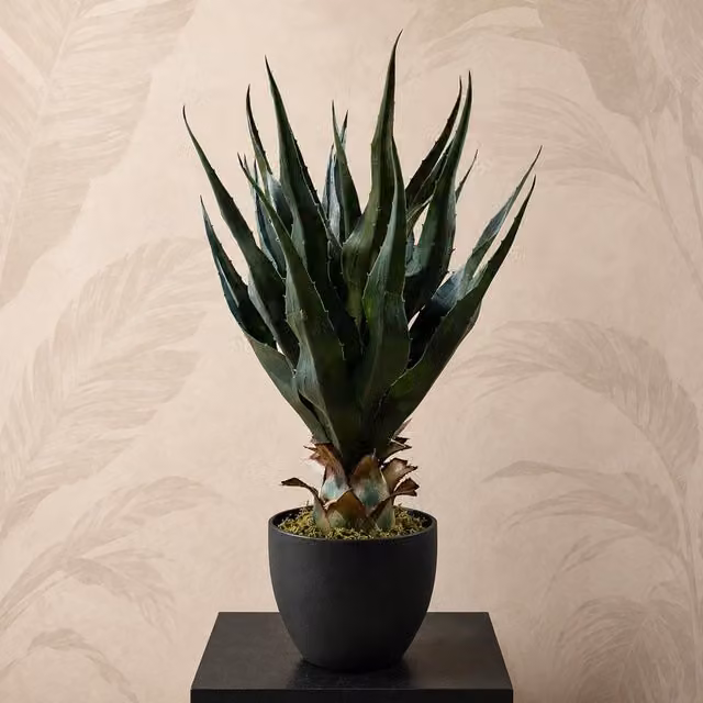Leaf Design UK 70cm Green Artificial Agave Tropical Yucca Succulent Potted Plant