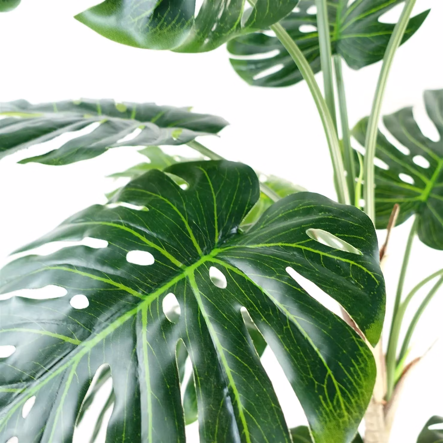 Leaf Luxury Monstera Artificial Plant in a Black Pot, Green, Height: 150 cm – 2