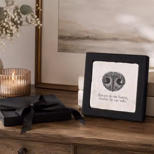 Zeller Present Cherished Dog Print Marble Coaster Gift Box in Black – 2