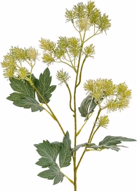 Hill Interiors French Meadow Rue Artificial Flower Spray in Green