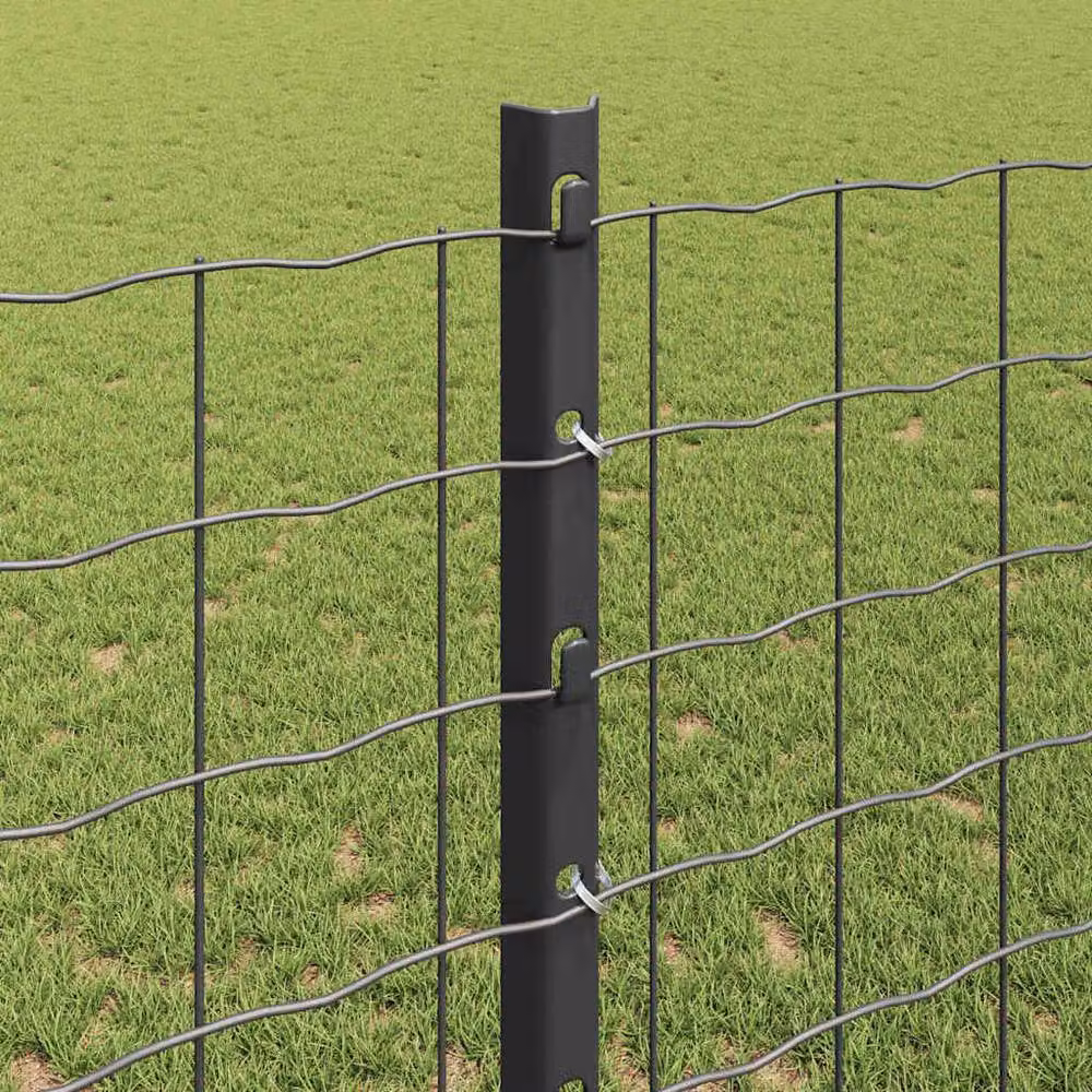 Berkfield Home Euro Fence Steel Garden Fencing with 10 U Posts, Grey, W: 2 m, L: 10 m – 3