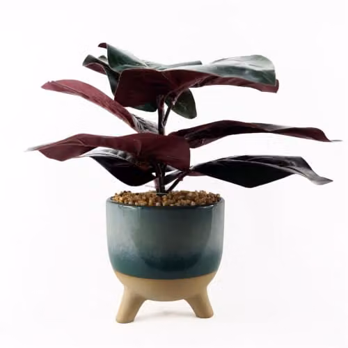 Leaf Design UK Artificial Ficus Tree with Teal Blue Green Ceramic Planter, Height: 35 cm – 1