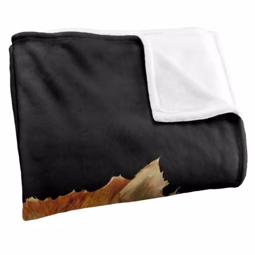 LOGOVISION Harry Potter Crookshanks Super Soft Fleece Throw Blanket, Multicolour, W: 91.44 cm x L: 147 cm – 2