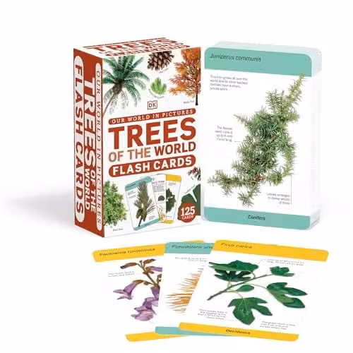 DK Our World in Pictures Trees of the World Multicolour Flash Cards