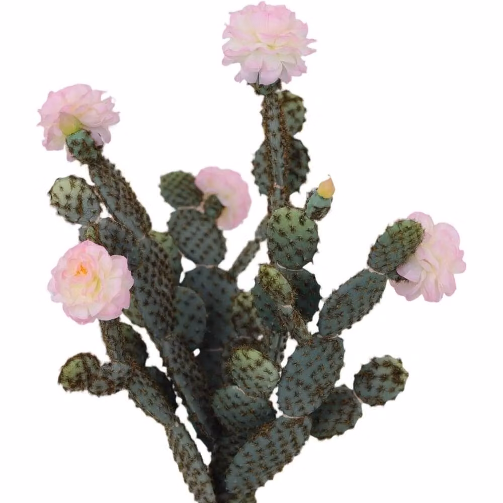 VOGREX 5ft Tall Artificial Cactus Potted Succulent in Green and Multicolour, Height: 152.4 cm – 4