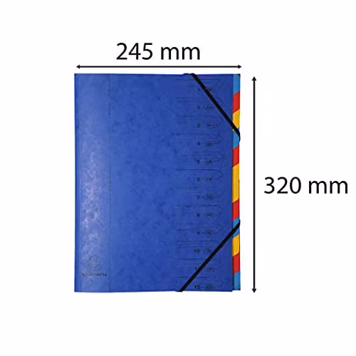 Exacompta 12-piece A4 Collection Folder Set in Multicolour and Blue – 2