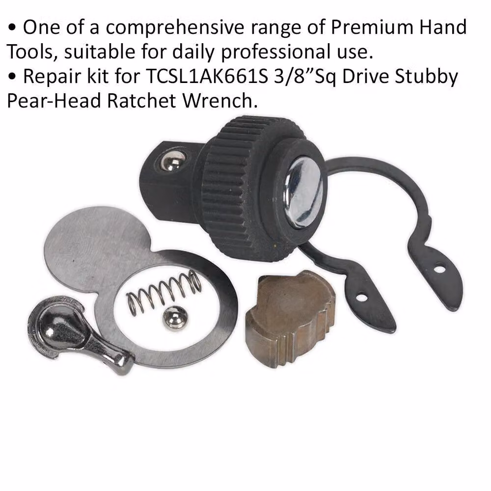 Loops 3/8 Inch Sq Drive Repair Kit for ys01584 48-Tooth Ratchet Wrench in Silver and Multicolour – 2