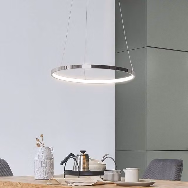 Wyld and Coco Silver Aluminium Ring Pendant Lamp with Integrated LED, 40 cm Diameter – 1