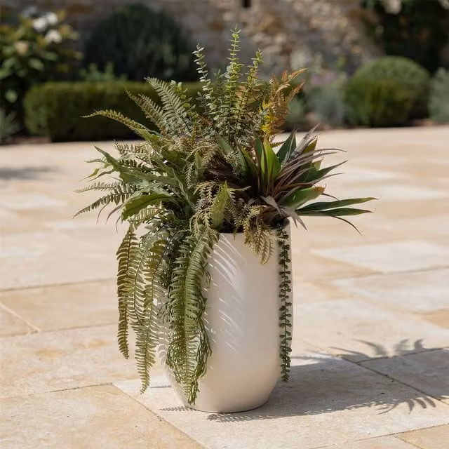 Scottish Everlastings Ltd Mixed Fern and Agave Potted Plant in a Green Oval Ceramic Container