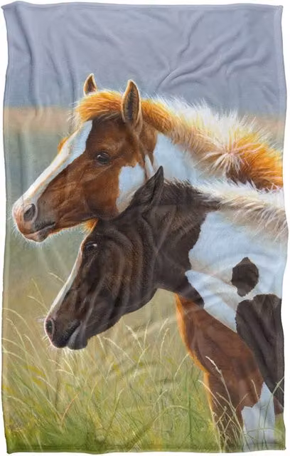 JQ Licensing Two Foals Horses Super Soft Fluffy Polyester Throw Blanket, Multicolour, Large