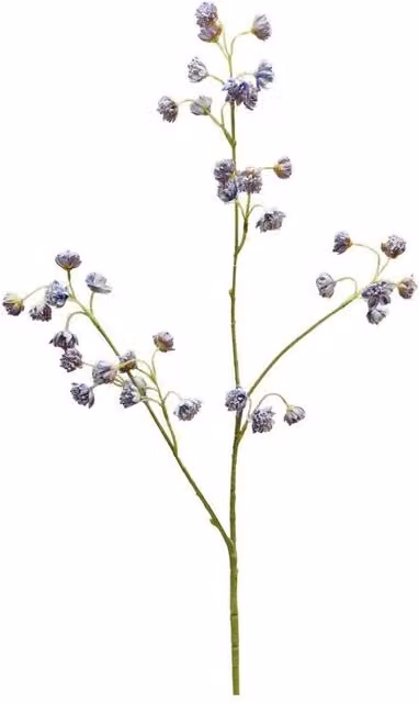 KDMD Botanica Lilac Astrantia Spray, Purple, Height: 84 cm