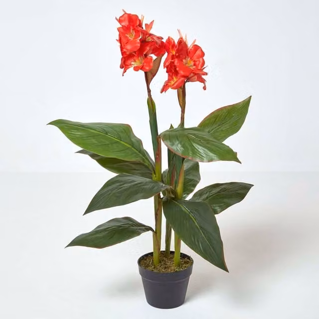 Homescapes Artificial Canna Lily Plant in Green, Red and Black, Height: 90 cm