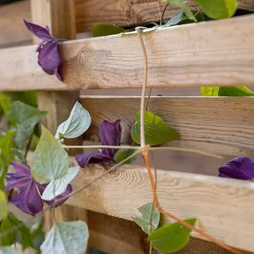 Forest Garden Brown Wood Living Screen Planter with Integral Trellis W: 90 cm, H: 180 cm – 5