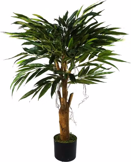 Artificial Longifolia Tree in Green and Black, Height: 100 cm