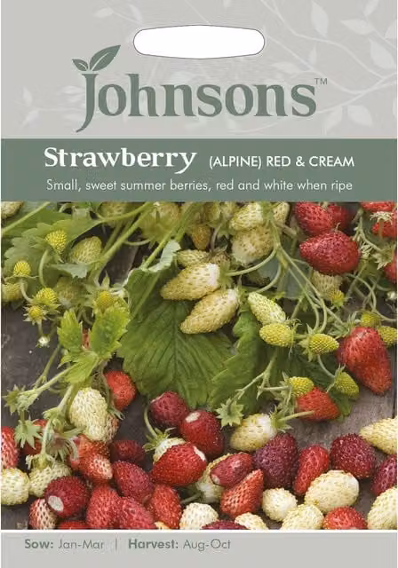 Johnsons Alpine Red and Cream Strawberry Seeds