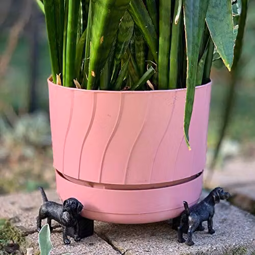 Jardinopia Beagle Plant Pot Feet, Set of 3, Bronze, W: 10.5 cm, D: 8.5 cm, H: 7.5 cm – 6