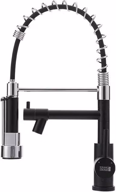 Garden Sanctuary Stainless Steel Kitchen Faucet with Pull-Out and Swivel Spout in Matt Black