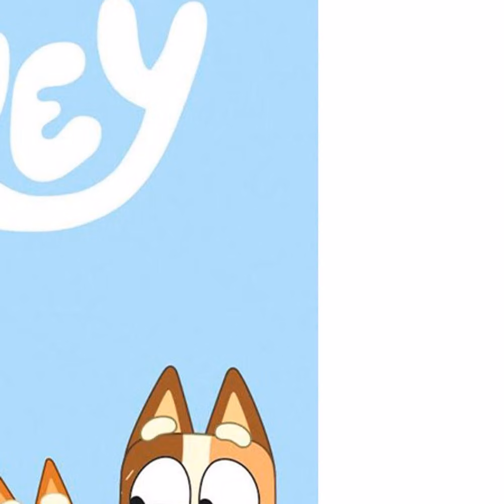 Bluey Fluffy Cotton Childrens Beach Towel in Blue, W: 140 cm, H: 70 cm, D: 70 cm