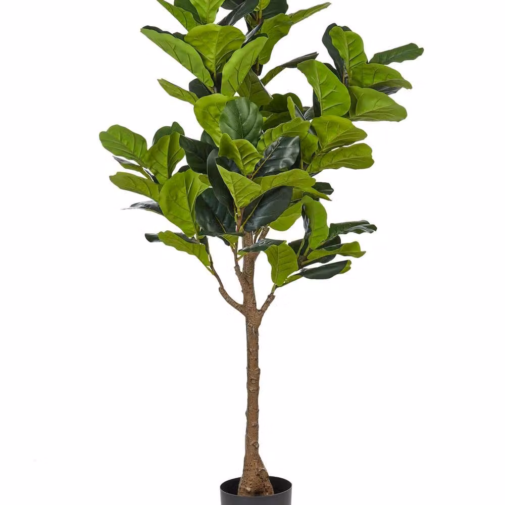 Wyld and Coco 162cm Artificial Green Mediterranean Fig Tree with Cement-Style Base – 2